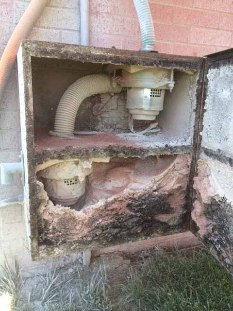 Damaged electrical box with visible corrosion and mold. The interior components